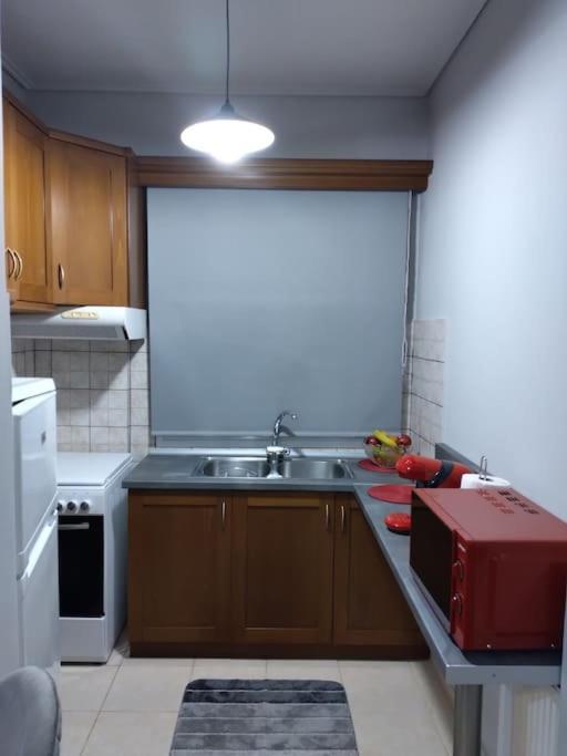 Ferienwohnung Χαίρε, Ξεΐνε, Παρ' Αμμι Φιλησεαι Tríkala Exterior foto